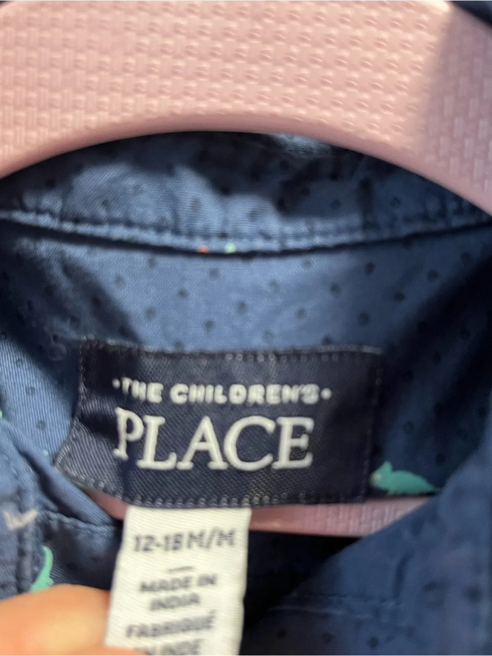 The Children’s Place iguana shirt-Boys 12/18 months